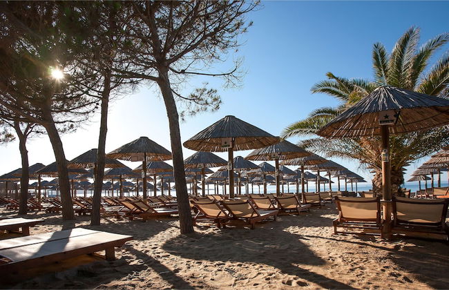 Marathon Blue - Foto 42