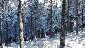 Casa La Ribera - Foto 2