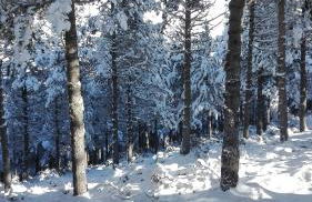 Casa La Ribera - Foto 2