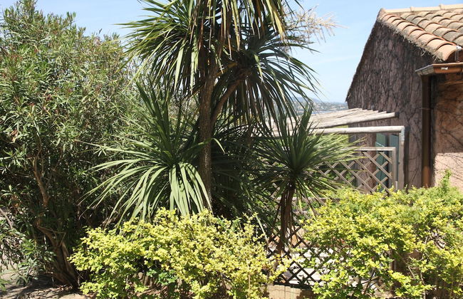 Residence a Licetta - Photo 47