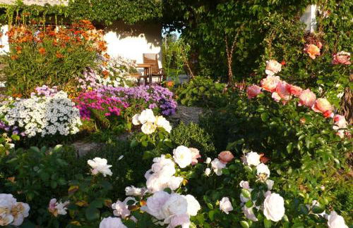 Ferienwohnung Wild - Foto 33