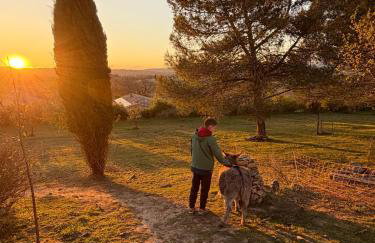 LES 3 HIRONDELLES - Foto 46