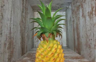 Dreamkeys Apartments & Suites - Photo 58