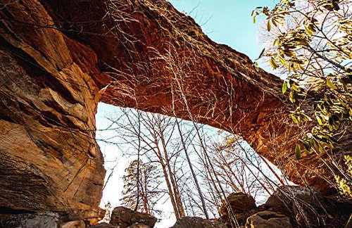 Gorgeous Secluded Cabin with Hiking Trails Near in Frenchburg, Kentucky - Foto 17