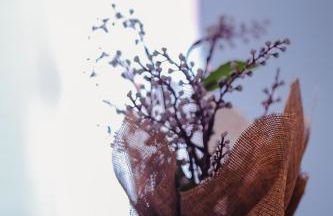 Maison Matilda 1 - Foto 14