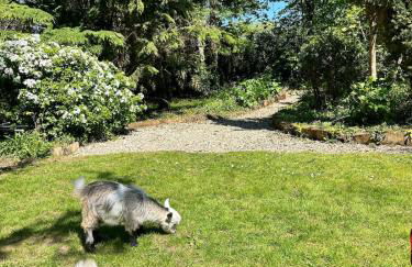 Stunning Edwardian Country Home Unwind - Foto 11