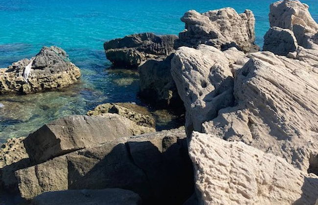 Villa Dar Dart Djerba 8 People - Foto 9