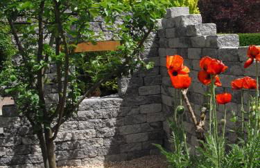 Haus Schnurbus - Foto 23