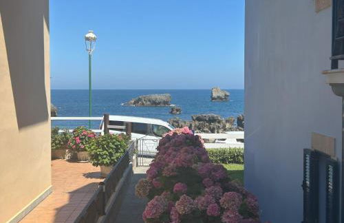 Pinedo II - 6816 - Foto 13