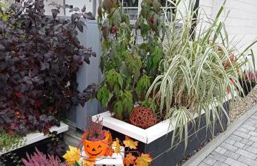 Całoroczny Ośrodek Wypoczynkowy COMFORT HOUSE - Foto 62