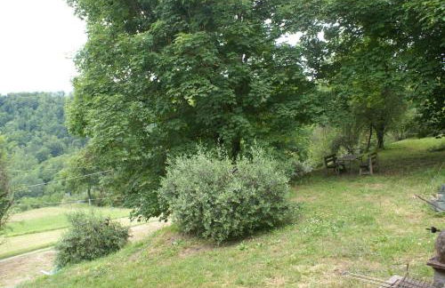 Tradizione Toscana ristrutturata nel 2021 - Foto 6