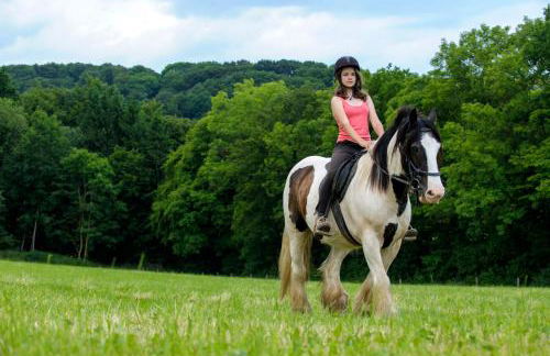 Nengshof Ferienwohnungen Mohnblume und Kornblume - Foto 14