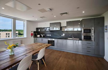 For Students Only The Oaks in Coventry - Foto 23