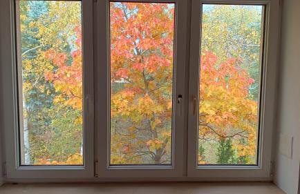 Willa Stary Dom - Foto 2