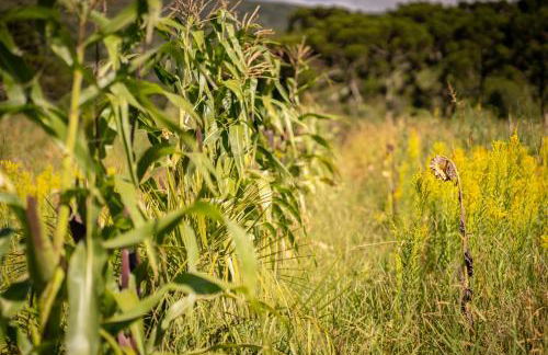 Vale Mandaçaia - Foto 46