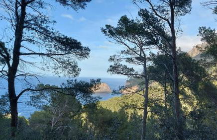 Villa Ideal - Foto 34