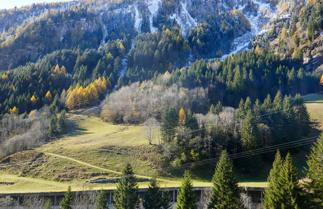 Rustico Stübii - Foto 24