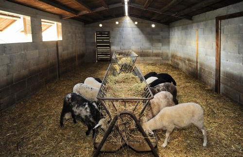 Agriturismo Borgo Mocale - Foto 27