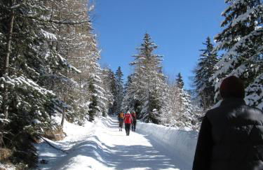 Residence Terentis - Foto 65