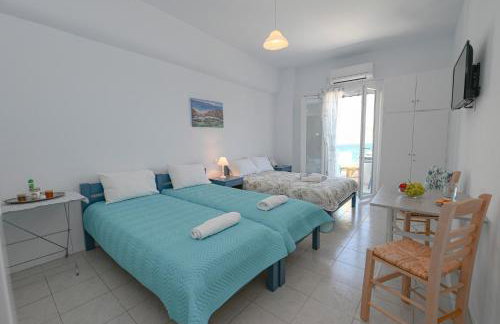 Panormos View - Photo 31