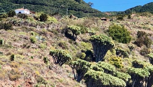 Casa Rural Los Barranquitos - Foto 3