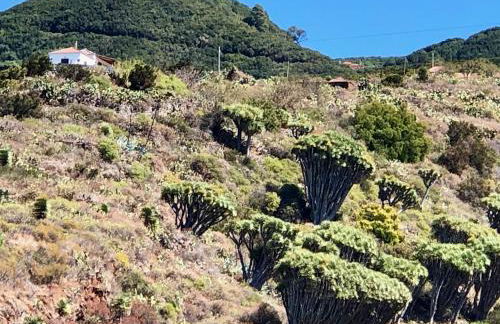 Casa Rural Los Barranquitos - Foto 3