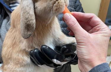 TideAway Farm on Private Island! Escape & Indulge Mother Nature! - Foto 50