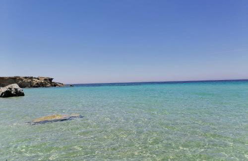 Agriturismo Il Melograno - Foto 71