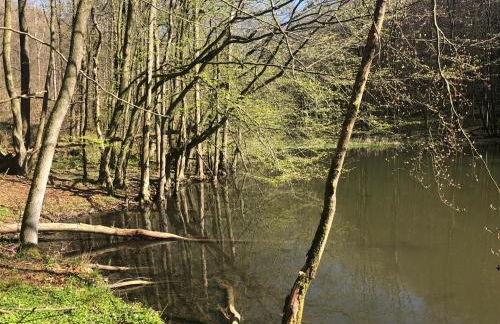 Ferienwohnung Waldruhe - Foto 15
