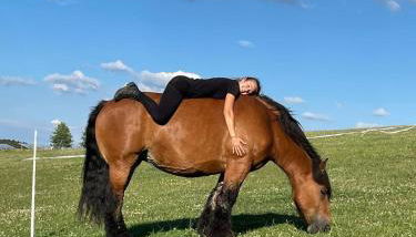 Ferienhaus Schilz II - Urlaub auf dem Bauernhof - Foto 4