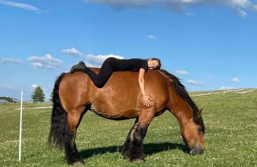Ferienhaus Schilz II - Urlaub auf dem Bauernhof - Foto 4