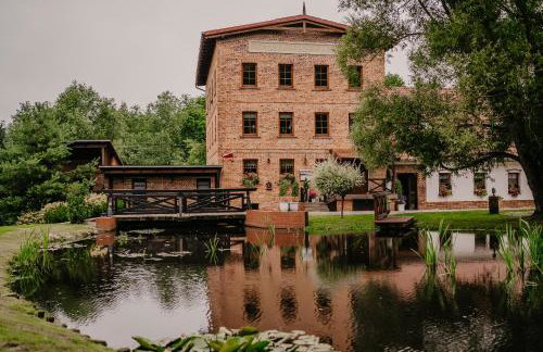 Stary Młyn w Brzeźnicy - Foto 79