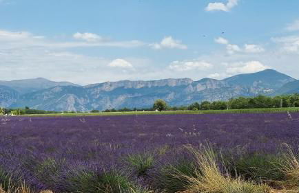 Le PORT MIOU près calanques de Cassis 2 chambres 6 personnes - Foto 28