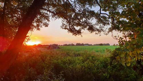 The Pheasant - Foto 4