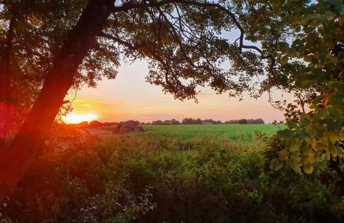 The Pheasant - Foto 4