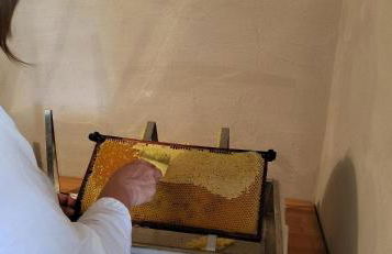 Ferienhof Rindalphorn mit Sauna in ländlicher Idylle - Foto 34