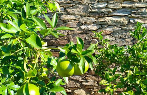 Wine House - Quinta Vale de Carvalho - Foto 59