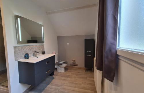 Grande Maison au Bord d'un Lac avec Spa, Jardin Clôturé et Proche du ZooParc de Beauval - FR-1-591-336 - Foto 14