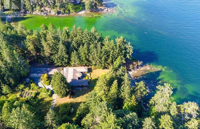 Sea La Vie Rare Peaceful Hidden Gem - Photo 37