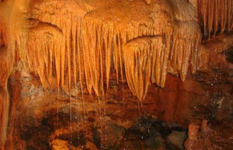 Historical 4 - Bedroom Villa in Alcobaca - Foto 71