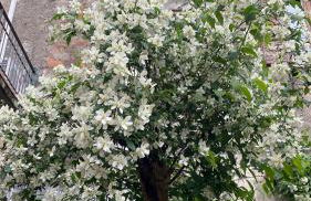 Nel Cuore di Volta Mantovana - Foto 22