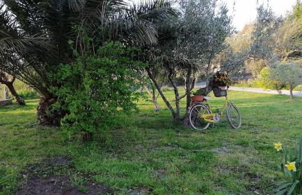 casa Dani - accogliente appartamento - Foto 11