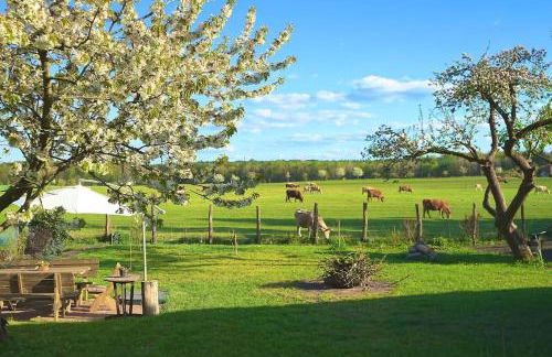 Ferienwohnung Alte Schule Chorin Schorfheide - Foto 9