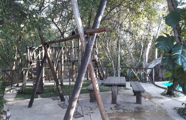 Cenote Yokdzonot Ticket - Foto 2