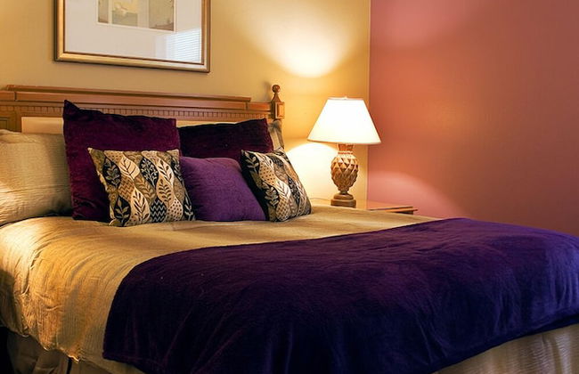 Moonbeam City ELF Home - Foto 9