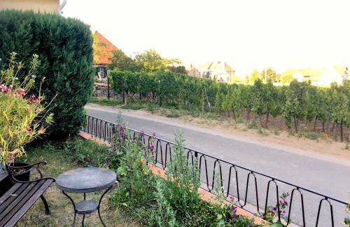 Ferienwohnung Südpfalzblick - Foto 19