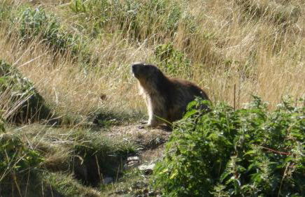 Résidence Les Ecrins - Foto 18