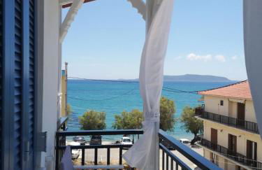 Blue Window - Photo 17