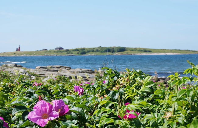 4 Star Holiday Home in Halmstad - Foto 25