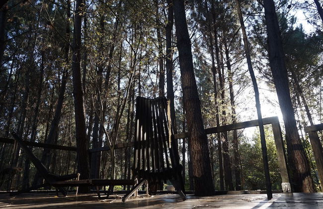 Les Landines - Foto 24